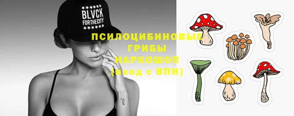 мдпв Кукмор