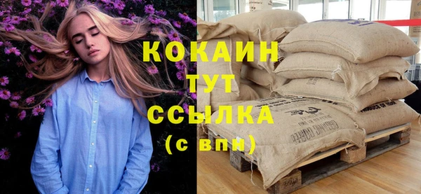 мдпв Кукмор