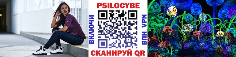 закладка  Сергач  Галлюциногенные грибы прущие грибы 